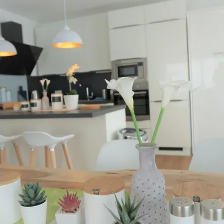 Panorama Penthouse Apartment Mit Klima Und Whirlpool Fuer Bis Zu 6 Personen Frankenthal  Exterior photo